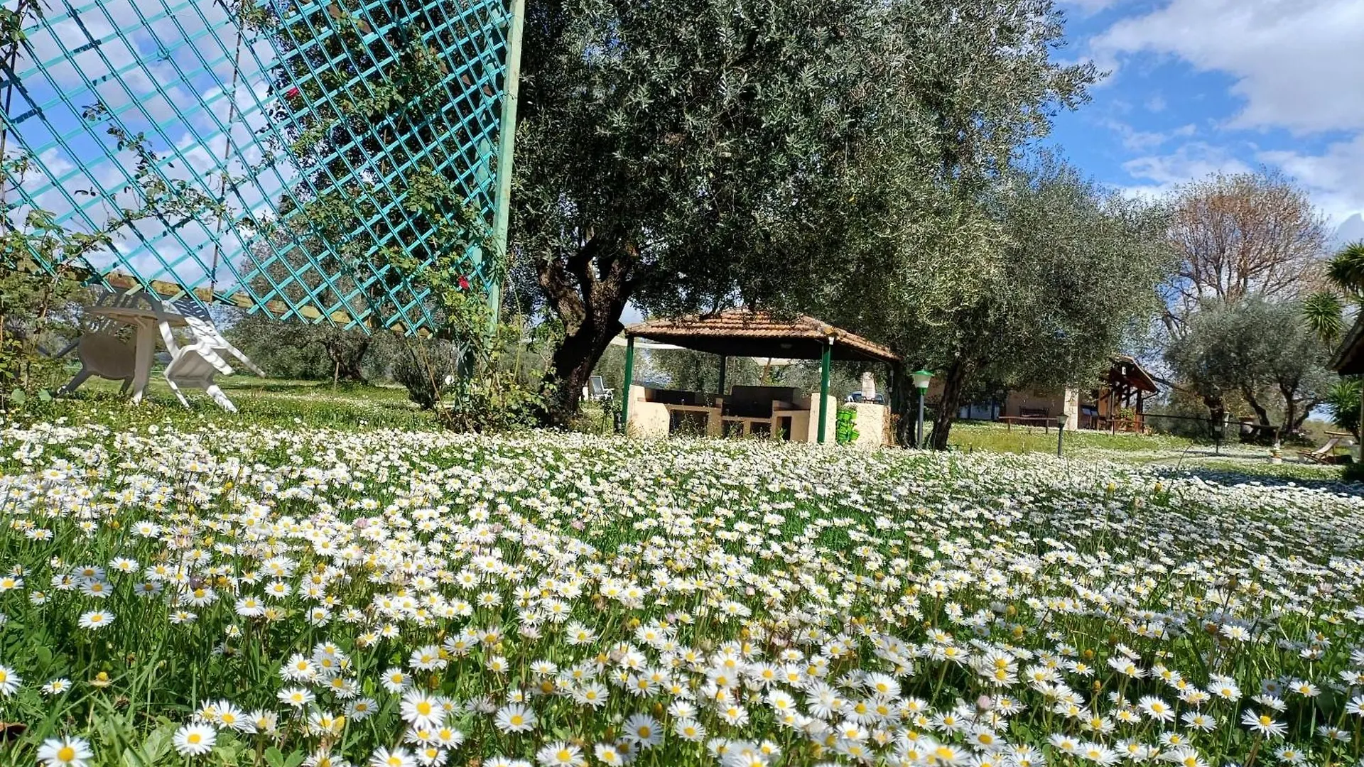 Agriturismo Bio Pian Dei Casali Saturnia 0*,